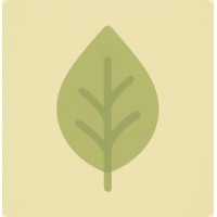 Matcha logo - Similar company to Browser Buddy