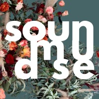 soundmuse logo - Similar company to Chancebending Ventures, Inc