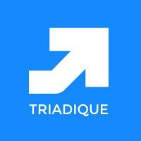 Triadique Technologies Private Limited logo - Similar company to Digital Global Tech