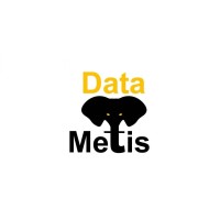 DataMetis logo - Similar company to Valor