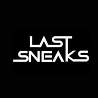 Last Sneaks logo - Similar company to Hm Growth