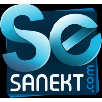 SANEKT SOFTWARE SOLUTION logo - Similar company to Ae Dimensions