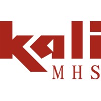 Kali BMH Systems logo - Similar company to A.E. Engineers Group