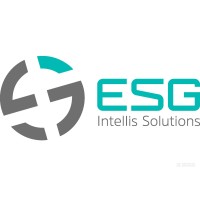 ESG Intellis Solutions Ltd logo - Similar company to Techgenic (Imperium Group)