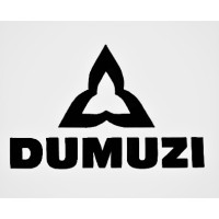 Dumuzi E&C LLC logo - Similar company to الشركه العالميه الدوليه للانشاءات المعدنيه - Imc
