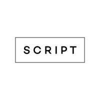 SCRIPT CONSULTING logo - Similar company to Finbudd Academy