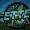 Fetter & Son Farms Llc