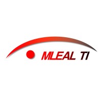 Mleal Ti - Consultoria Em Sistemas