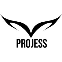 PROJESS Jessica Karlińska logo - Similar company to Smart Sales Evolution