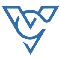 Vishaal Consultancy Services logo - Similar company to Codequery Technology