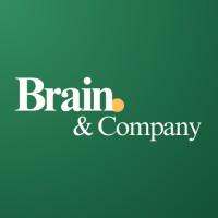 Brain & Company logo - Similar company to Aquadsoft Delhi