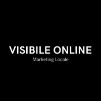 Visibile Online logo - Similar company to Visibility Co