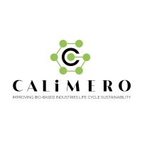 CALIMERO HE Project logo - Similar company to Embeded Project