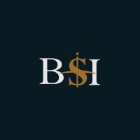 BSI CAPITAL SECURITIZADORA S/A logo - Similar company to Dinaripay
