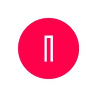 Netkata Software House logo - Similar company to Dope Ai