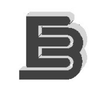 ELECTRICIDAD INDUSTRIAL BLASCO SL logo - Similar company to Generac Power Systems Argentina