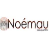 Noemau logo - Similar company to Themis Technologies