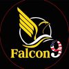 Falcon Education logo - Similar company to Gradlink Consultants