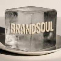 The Brandsoul Collective logo - Similar company to Casalda