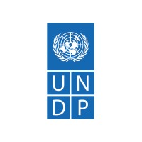 UNDP in India logo - Similar company to Giz India