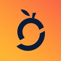 Mango Product Development logo - Similar company to Syla