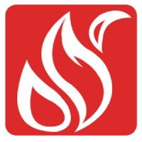 Big Flare logo - Similar company to Digital Excellence