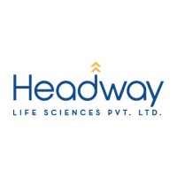 Headway Life Sciences logo - Similar company to Developer On Demand