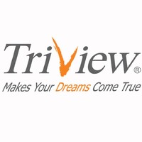 triview / تريفيو logo - Similar company to Dtic