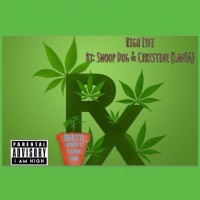 High Lyfe By: Snoop Dogg & Christine (Lan16) logo - Similar company to Eminem50Cent.Com