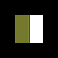 The Fractional Agency logo - Similar company to The Elevated Coaching Collective