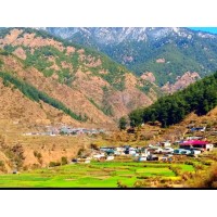 DEVDAAR GHATI CAMPING (UTTRAKHAND) logo - Similar company to Uttrakhand Guide