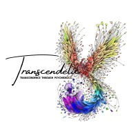 Transcendelic logo - Similar company to Ethereal Studios