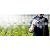 SmartAgriTech Solutions logo - Similar company to Trend Wealthspring