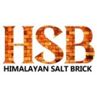 Himalayan salt brick sale logo - Similar company to Saltlight