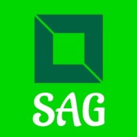 SAG Global logo - Similar company to Spg Global