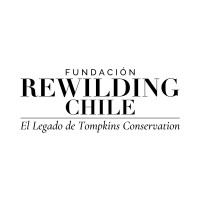Fundación Rewilding Chile logo - Similar company to Insular
