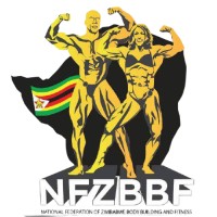 Body Building Zimbabwe logo - Similar company to Body Builder
