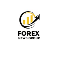 Forex News Group logo - Similar company to Paymentearth.Com