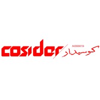 COSIDER AGRICO logo - Similar company to Limitless Learning