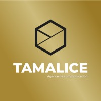 TAMALICE logo - Similar company to Projectil-Sogepress