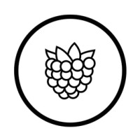 e-Brombeere Ventures logo - Similar company to Bryce Partners