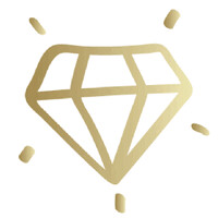 The Conqueress logo - Similar company to Alldomainsoft.Com Private Limited