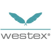 Westex International logo - Similar company to Location Location Location