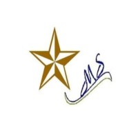 Matrix Star logo - Similar company to Woah Group Pte Ltd