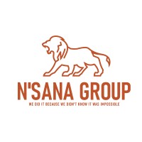 Nsana Group Inc. logo - Similar company to Netdollar