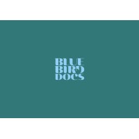 Blue Bird Docs logo - Similar company to Mentority App