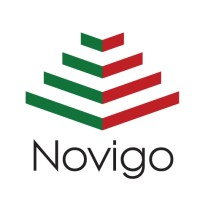 Novigo Ltd logo - Similar company to Navigo Solutions