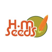 HM Seeds logo - Similar company to Aits Morocco