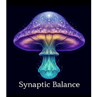 Synaptic Balance logo - Similar company to Frequency Caps