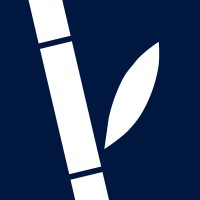 African Bamboo logo - Similar company to Sinoma Cbmi Construction Co., Ltd.